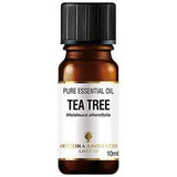 Amphora Aromatics - Tea Tree | Vitaminz
